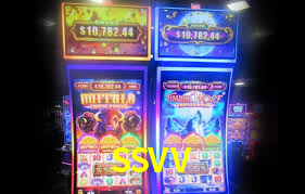 SSVV Bet